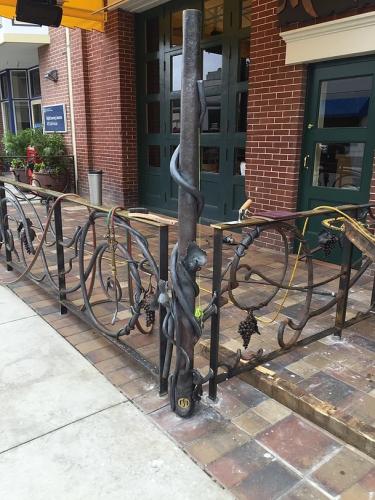 Custom iron fence for front yard