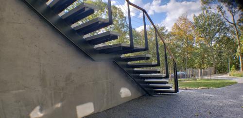 Glass railing with custom metal posts